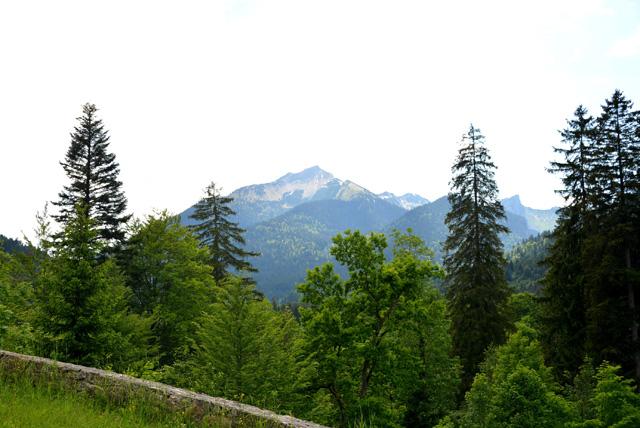 min 2015 06 02 baviere 205